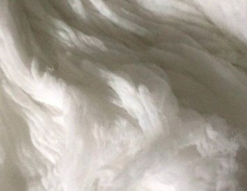 新疆当地棉花企业经营压力普遍较大